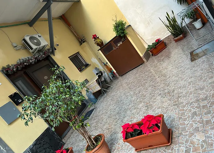 Dany House * Катания